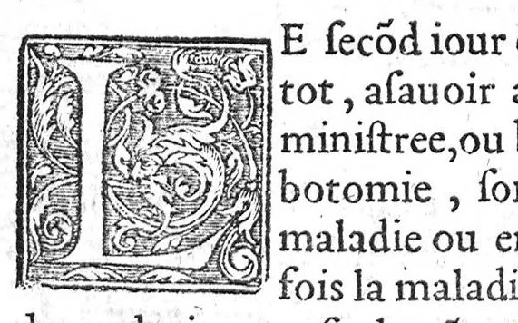 An illustration from De la maniere de preserver de la Pestilence, et den guerir, selon les bons Autheurs, par Benoit Textor Medecin, natif de Pont de Vaux en Bresse,, 1551, leaf 117