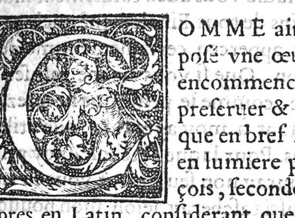 An illustration from De la maniere de preserver de la Pestilence, et den guerir, selon les bons Autheurs, par Benoit Textor Medecin, natif de Pont de Vaux en Bresse,, 1551, leaf 16