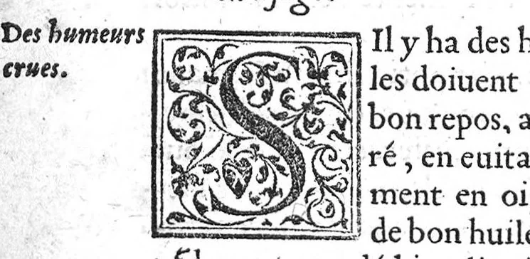 An illustration from De la maniere de preserver de la Pestilence, et den guerir, selon les bons Autheurs, par Benoit Textor Medecin, natif de Pont de Vaux en Bresse,, 1551, leaf 39