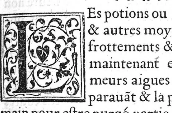 An illustration from De la maniere de preserver de la Pestilence, et den guerir, selon les bons Autheurs, par Benoit Textor Medecin, natif de Pont de Vaux en Bresse,, 1551, leaf 40