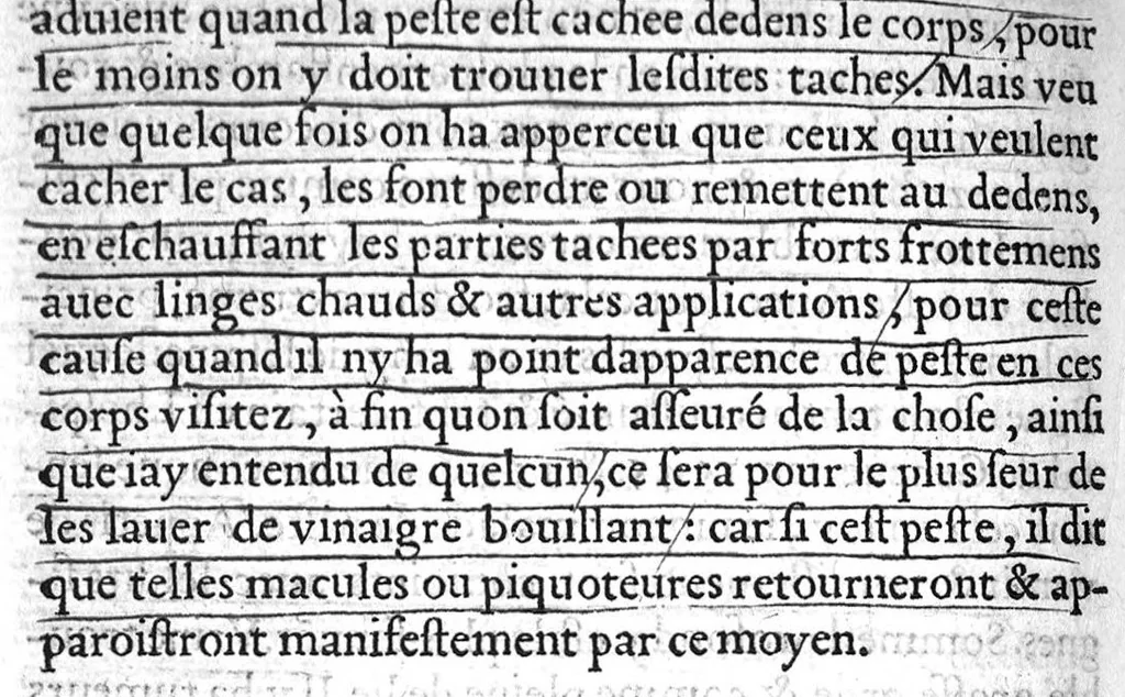 An illustration from De la maniere de preserver de la Pestilence, et den guerir, selon les bons Autheurs, par Benoit Textor Medecin, natif de Pont de Vaux en Bresse,, 1551, leaf 93