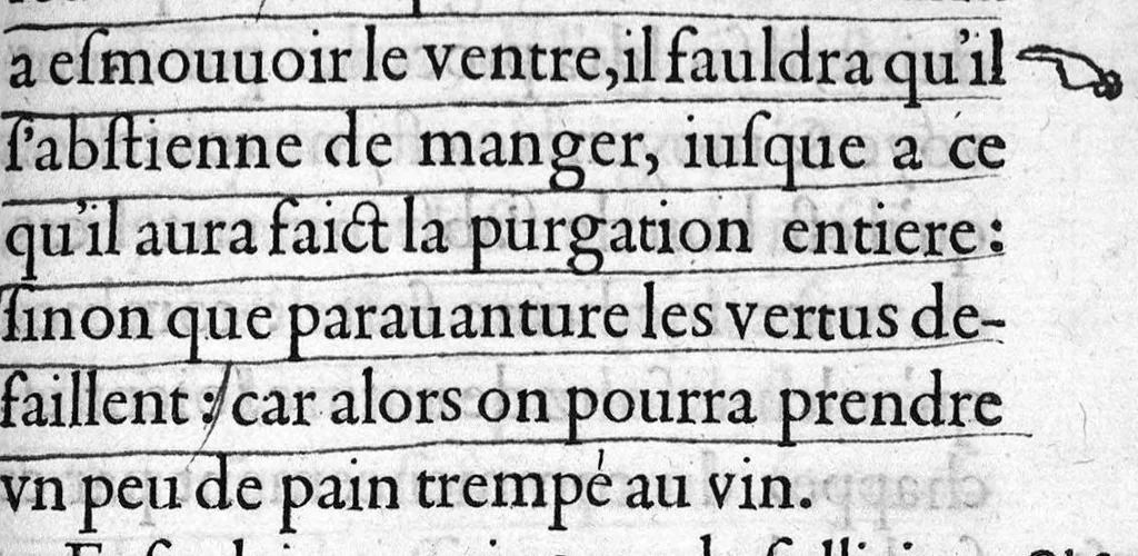 An illustration from Instruction tres utile, par laquelle un chacun se pourra maintenir en santé, tant au temps de peste, comme en autre temps,par Maistre Jehan Guinter d’Andernach Docteur de Paris en Medecine,, 1547, leaf 76