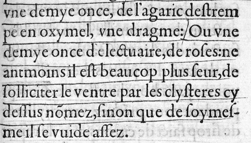 An illustration from Instruction tres utile, par laquelle un chacun se pourra maintenir en santé, tant au temps de peste, comme en autre temps,par Maistre Jehan Guinter d’Andernach Docteur de Paris en Medecine,, 1547, leaf 78