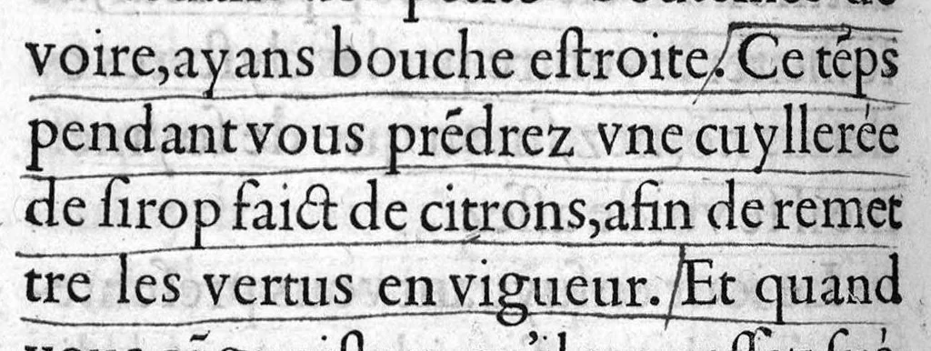 An illustration from Instruction tres utile, par laquelle un chacun se pourra maintenir en santé, tant au temps de peste, comme en autre temps,par Maistre Jehan Guinter d’Andernach Docteur de Paris en Medecine,, 1547, leaf 79