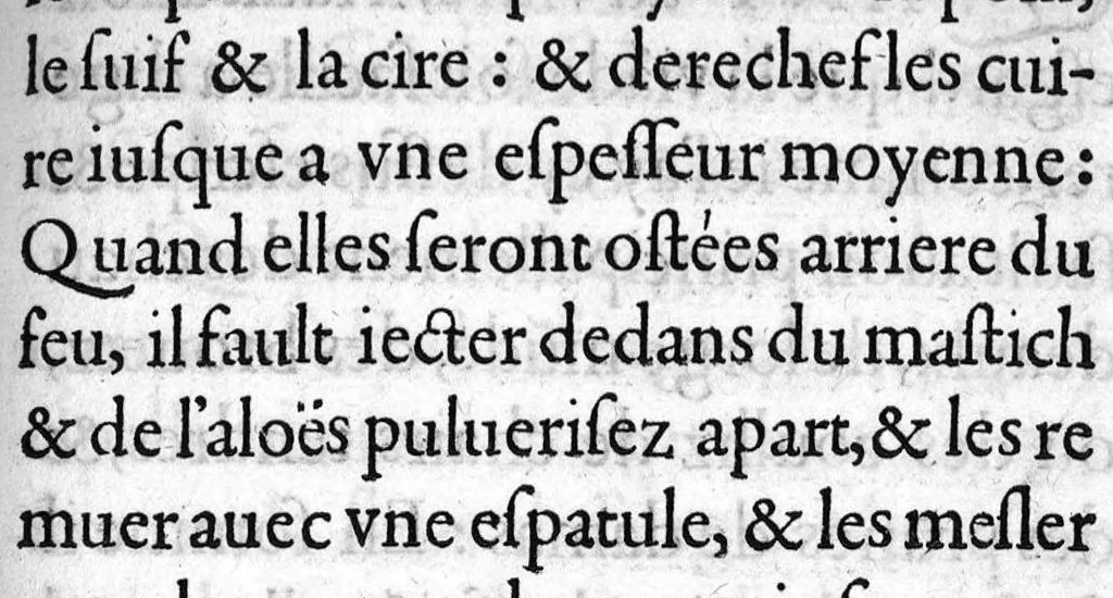 An illustration from Instruction tres utile, par laquelle un chacun se pourra maintenir en santé, tant au temps de peste, comme en autre temps,par Maistre Jehan Guinter d’Andernach Docteur de Paris en Medecine,, 1547, leaf 84