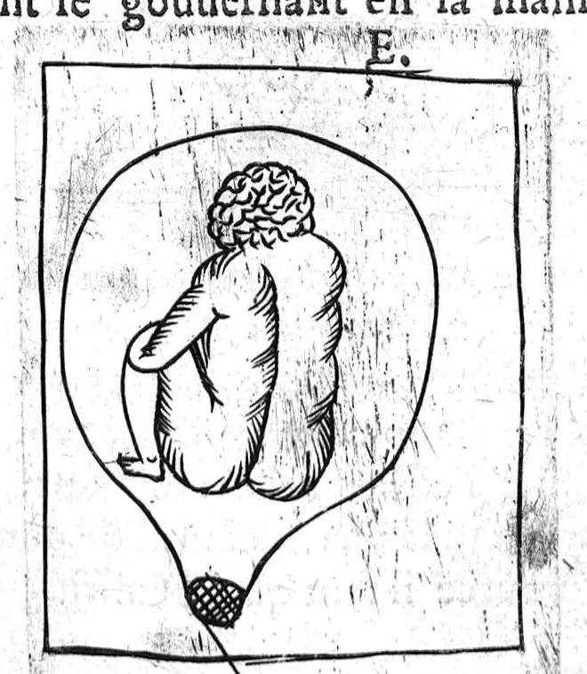 An illustration from Le propagatif de l’homme et secours des femmes en travail d’enfant,utiles & necessaire à toutes personnes. Enrichy de figures, 1623, leaf 100