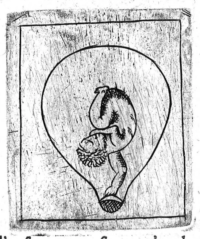 An illustration from Le propagatif de l’homme et secours des femmes en travail d’enfant,utiles & necessaire à toutes personnes. Enrichy de figures, 1623, leaf 102