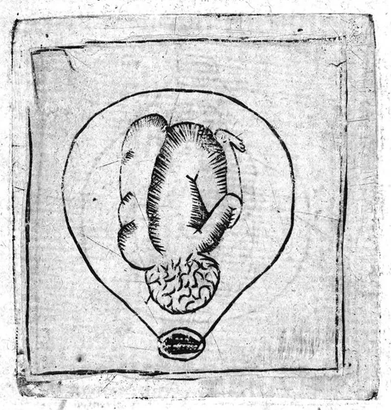 An illustration from Le propagatif de l’homme et secours des femmes en travail d’enfant,utiles & necessaire à toutes personnes. Enrichy de figures, 1623, leaf 33