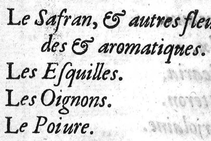 An illustration from Traicté de la peste selon la doctrine des médecins spagyriques, 1629, leaf 117