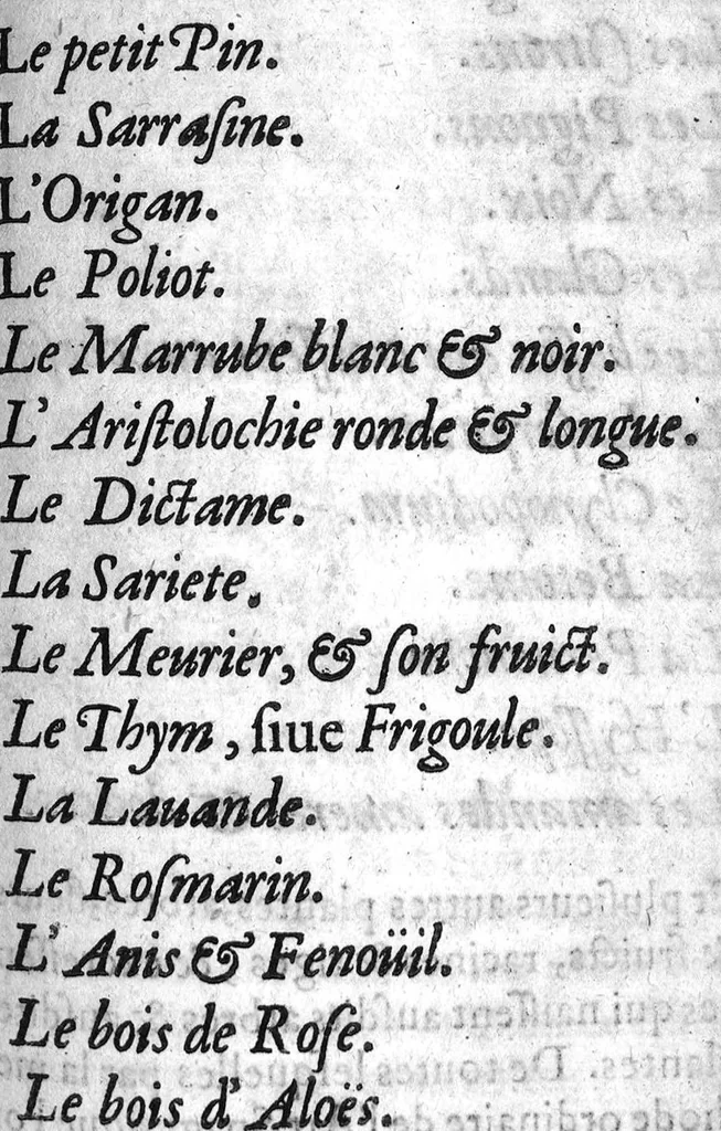 An illustration from Traicté de la peste selon la doctrine des médecins spagyriques, 1629, leaf 118