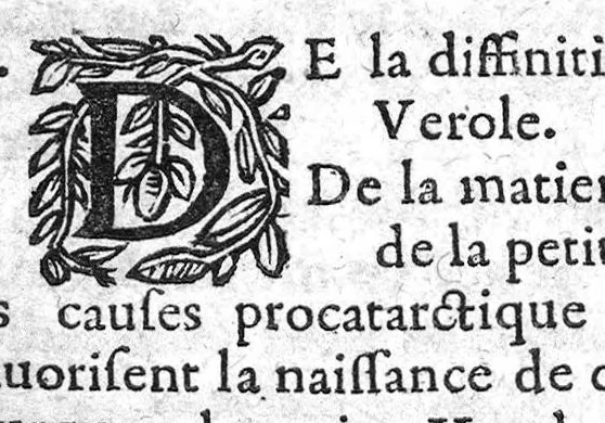 An illustration from Observations curieuses touchant la petite verole, vraye peste des petits enfans : et le bezahar son antidote. Contenant plusieurs rares secrets pour embellir le visage, & pour oster les difformitez que laisse apres soy cette maladie, 1645, leaf 174