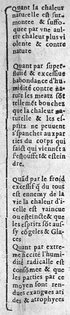 An illustration from Epydimyomachie ou combat de la peste avec le reglement Politique,auquel est adjousté certaines tables servans pour l’intelligence plus claire. Plus un Enigme sur la fin inventé tout expres. Par Esaie Le Lievre Vermandois. Dedié a hault et puissant Seigneur Messire Jehan Loys de la Vallete, Duc Depernon, Pair de France, Chevalier de l’ordre du Roy, Premier gentil-homme de sa chambre, Colonnel general de toute l’infanterie Francoyse, 1582, leaf 100