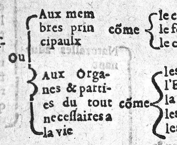 An illustration from Epydimyomachie ou combat de la peste avec le reglement Politique,auquel est adjousté certaines tables servans pour l’intelligence plus claire. Plus un Enigme sur la fin inventé tout expres. Par Esaie Le Lievre Vermandois. Dedié a hault et puissant Seigneur Messire Jehan Loys de la Vallete, Duc Depernon, Pair de France, Chevalier de l’ordre du Roy, Premier gentil-homme de sa chambre, Colonnel general de toute l’infanterie Francoyse, 1582, leaf 102
