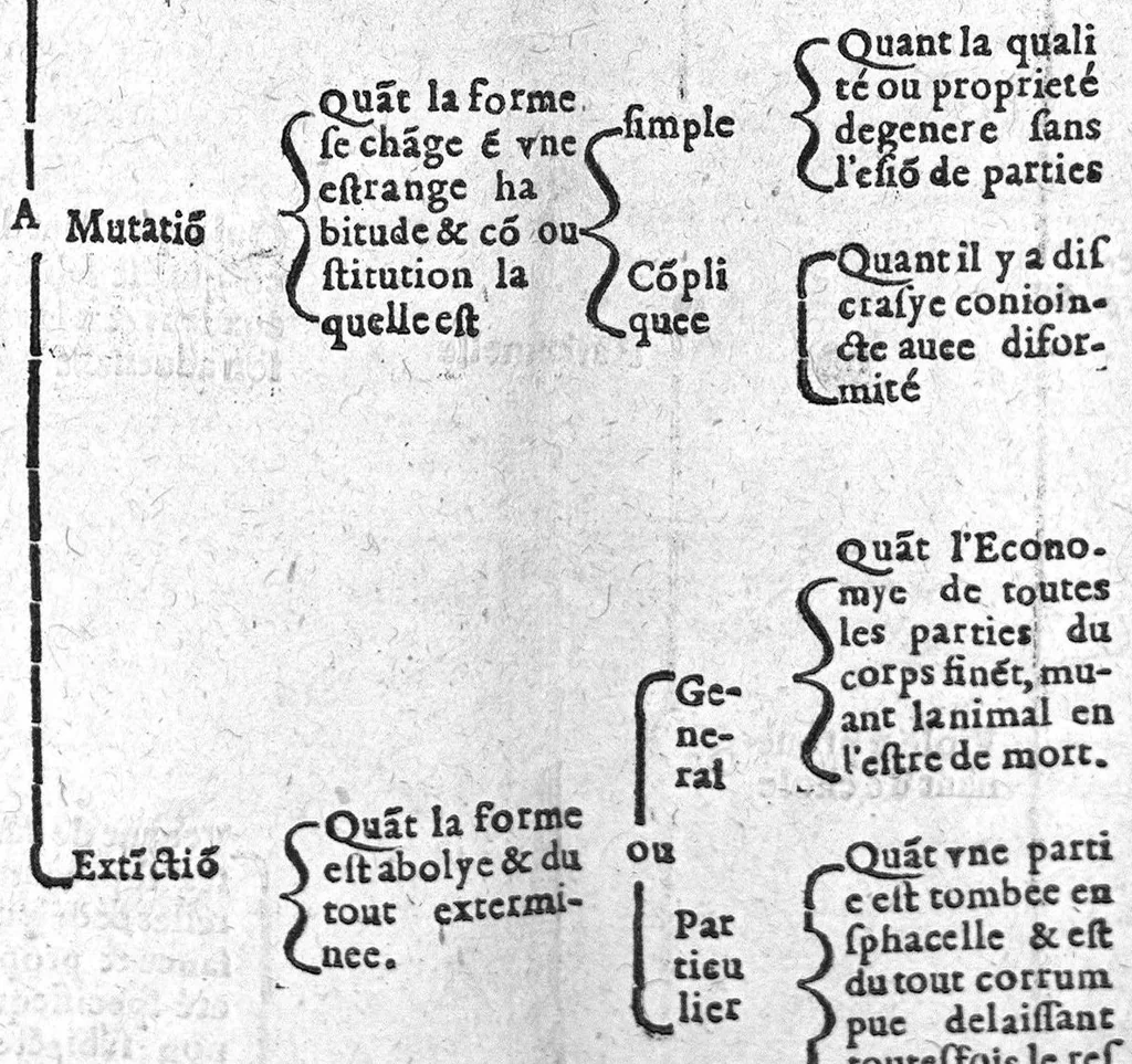 An illustration from Epydimyomachie ou combat de la peste avec le reglement Politique,auquel est adjousté certaines tables servans pour l’intelligence plus claire. Plus un Enigme sur la fin inventé tout expres. Par Esaie Le Lievre Vermandois. Dedié a hault et puissant Seigneur Messire Jehan Loys de la Vallete, Duc Depernon, Pair de France, Chevalier de l’ordre du Roy, Premier gentil-homme de sa chambre, Colonnel general de toute l’infanterie Francoyse, 1582, leaf 96
