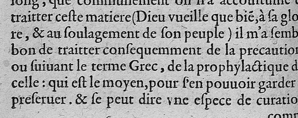 An illustration from Discours tres ample de la Peste, divisé en trois livres ; adressant à Messieurs de Tours : Par M. Nic. de Nancel, Noyonnois, medecin audit Tours. Icy sont traictees plusieurs choses contre l’opinion commune, et tradition ordinaire ; tant au premier livre, touchant la definition, differences, causes, signes, prognostic de la Peste ; comme au 2. de la precaution ; au 3. de la curation d’icelle,, 1581, leaf 107