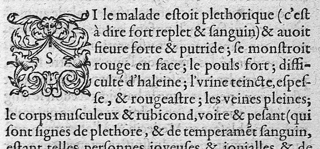 An illustration from Discours tres ample de la Peste, divisé en trois livres ; adressant à Messieurs de Tours : Par M. Nic. de Nancel, Noyonnois, medecin audit Tours. Icy sont traictees plusieurs choses contre l’opinion commune, et tradition ordinaire ; tant au premier livre, touchant la definition, differences, causes, signes, prognostic de la Peste ; comme au 2. de la precaution ; au 3. de la curation d’icelle,, 1581, leaf 228