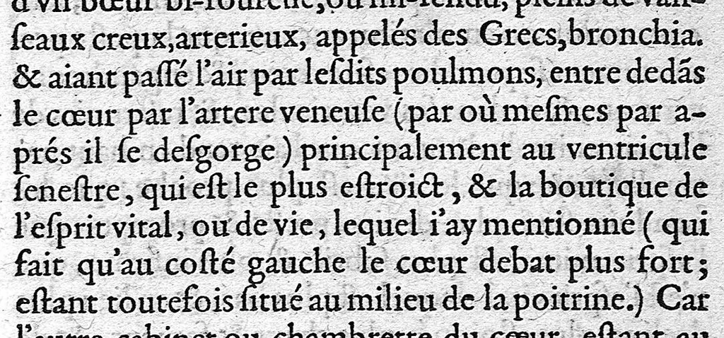 An illustration from Discours tres ample de la Peste, divisé en trois livres ; adressant à Messieurs de Tours : Par M. Nic. de Nancel, Noyonnois, medecin audit Tours. Icy sont traictees plusieurs choses contre l’opinion commune, et tradition ordinaire ; tant au premier livre, touchant la definition, differences, causes, signes, prognostic de la Peste ; comme au 2. de la precaution ; au 3. de la curation d’icelle,, 1581, leaf 24