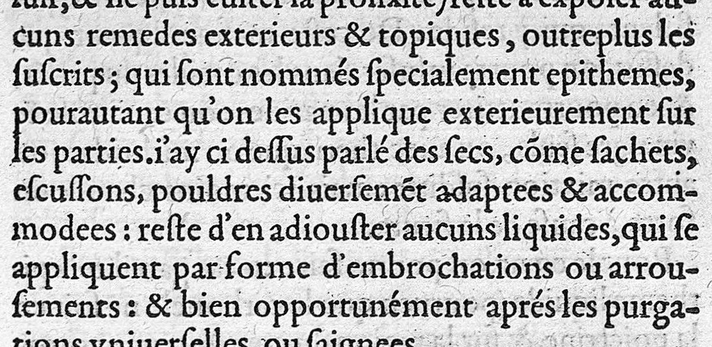 An illustration from Discours tres ample de la Peste, divisé en trois livres ; adressant à Messieurs de Tours : Par M. Nic. de Nancel, Noyonnois, medecin audit Tours. Icy sont traictees plusieurs choses contre l’opinion commune, et tradition ordinaire ; tant au premier livre, touchant la definition, differences, causes, signes, prognostic de la Peste ; comme au 2. de la precaution ; au 3. de la curation d’icelle,, 1581, leaf 266