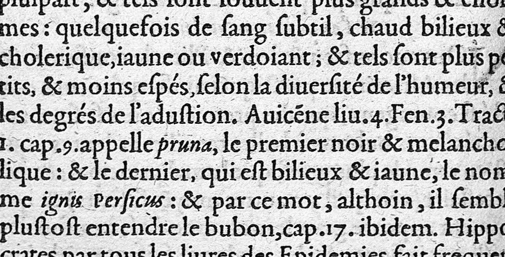 An illustration from Discours tres ample de la Peste, divisé en trois livres ; adressant à Messieurs de Tours : Par M. Nic. de Nancel, Noyonnois, medecin audit Tours. Icy sont traictees plusieurs choses contre l’opinion commune, et tradition ordinaire ; tant au premier livre, touchant la definition, differences, causes, signes, prognostic de la Peste ; comme au 2. de la precaution ; au 3. de la curation d’icelle,, 1581, leaf 299