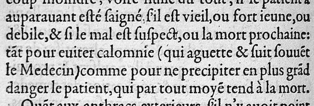 An illustration from Discours tres ample de la Peste, divisé en trois livres ; adressant à Messieurs de Tours : Par M. Nic. de Nancel, Noyonnois, medecin audit Tours. Icy sont traictees plusieurs choses contre l’opinion commune, et tradition ordinaire ; tant au premier livre, touchant la definition, differences, causes, signes, prognostic de la Peste ; comme au 2. de la precaution ; au 3. de la curation d’icelle,, 1581, leaf 309