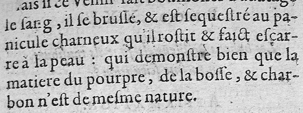 An illustration from Problème sur la nature, préservation et cure de la maladie pestilentielle, 1607, leaf 165
