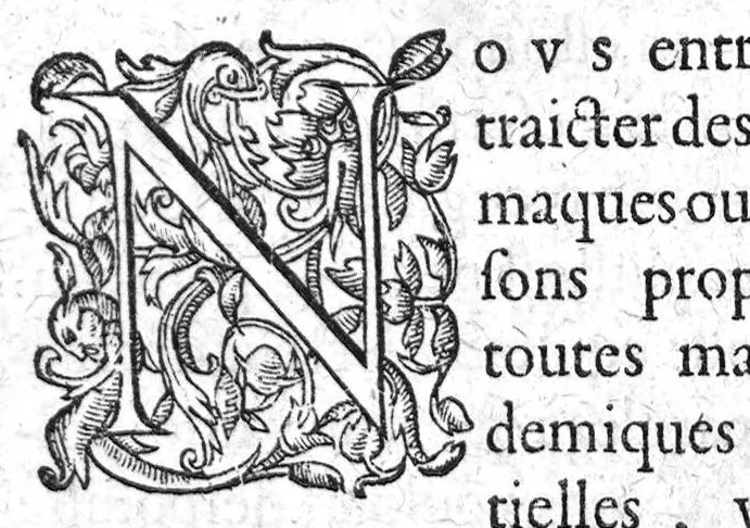 An illustration from La reformation des thériaques et antidotes opiatiques,..., 1608, leaf 8