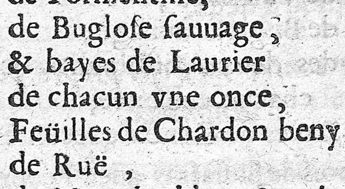 An illustration from Traité de la peste contenant sa définition, ses espèces et différences, ses causes, ses signes, ses accidens, sa cure et les moyens de s'en garentir, 1671, leaf 128