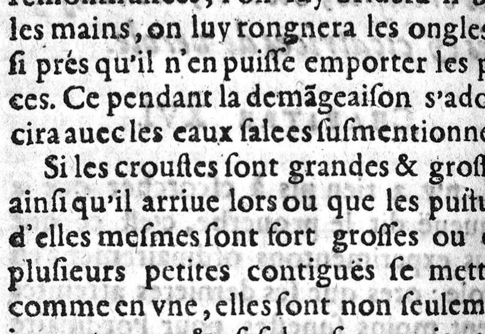 An illustration from Vray et asseuré preservatif de petite verole et rougeole,, 1617, leaf 757
