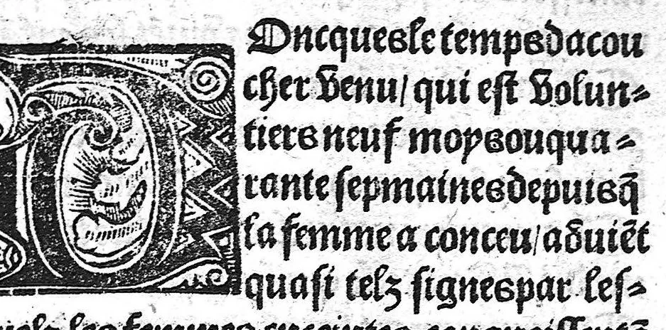 An illustration from Des divers travaulx et enfantemens des femmes, et par quel moyen lon doit survenir aux accidens qui peuvent escheoir devant et apres iceulx travaulx. Item quel lait et quelle nourrisse on doit eslire aux enfans : ensemble aucuns remedes concernens plusieurs maladies survenantes ausdits enfans nouveaux nez. Livret fort utile et duysant pour survenir a beaucoup de necessitez. Compose premierement en latin, par excellent medicin de Francfort, maistre Euchaire Rodion, et depuis tourne en langue françoyse, a lutilite de plusieurs personnes, 1536, leaf 16