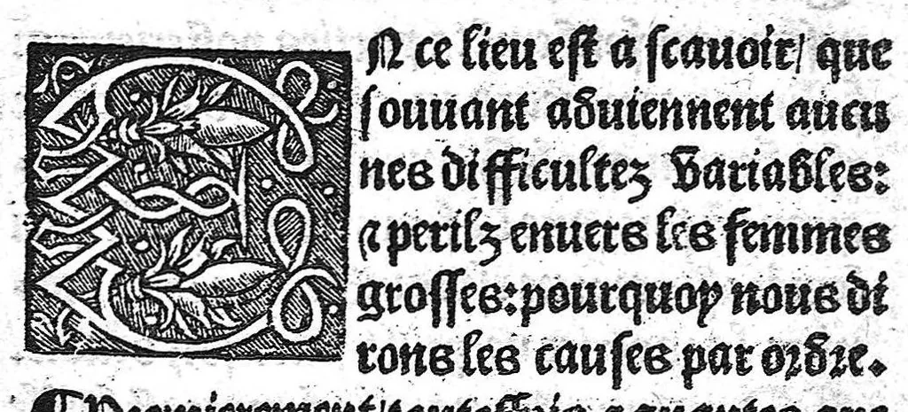 An illustration from Des divers travaulx et enfantemens des femmes, et par quel moyen lon doit survenir aux accidens qui peuvent escheoir devant et apres iceulx travaulx. Item quel lait et quelle nourrisse on doit eslire aux enfans : ensemble aucuns remedes concernens plusieurs maladies survenantes ausdits enfans nouveaux nez. Livret fort utile et duysant pour survenir a beaucoup de necessitez. Compose premierement en latin, par excellent medicin de Francfort, maistre Euchaire Rodion, et depuis tourne en langue françoyse, a lutilite de plusieurs personnes, 1536, leaf 20