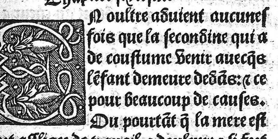 An illustration from Des divers travaulx et enfantemens des femmes, et par quel moyen lon doit survenir aux accidens qui peuvent escheoir devant et apres iceulx travaulx. Item quel lait et quelle nourrisse on doit eslire aux enfans : ensemble aucuns remedes concernens plusieurs maladies survenantes ausdits enfans nouveaux nez. Livret fort utile et duysant pour survenir a beaucoup de necessitez. Compose premierement en latin, par excellent medicin de Francfort, maistre Euchaire Rodion, et depuis tourne en langue françoyse, a lutilite de plusieurs personnes, 1536, leaf 62