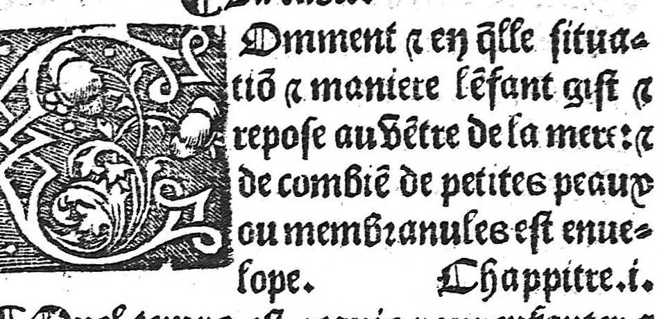An illustration from Des divers travaulx et enfantemens des femmes, et par quel moyen lon doit survenir aux accidens qui peuvent escheoir devant et apres iceulx travaulx. Item quel lait et quelle nourrisse on doit eslire aux enfans : ensemble aucuns remedes concernens plusieurs maladies survenantes ausdits enfans nouveaux nez. Livret fort utile et duysant pour survenir a beaucoup de necessitez. Compose premierement en latin, par excellent medicin de Francfort, maistre Euchaire Rodion, et depuis tourne en langue françoyse, a lutilite de plusieurs personnes, 1536, leaf 8