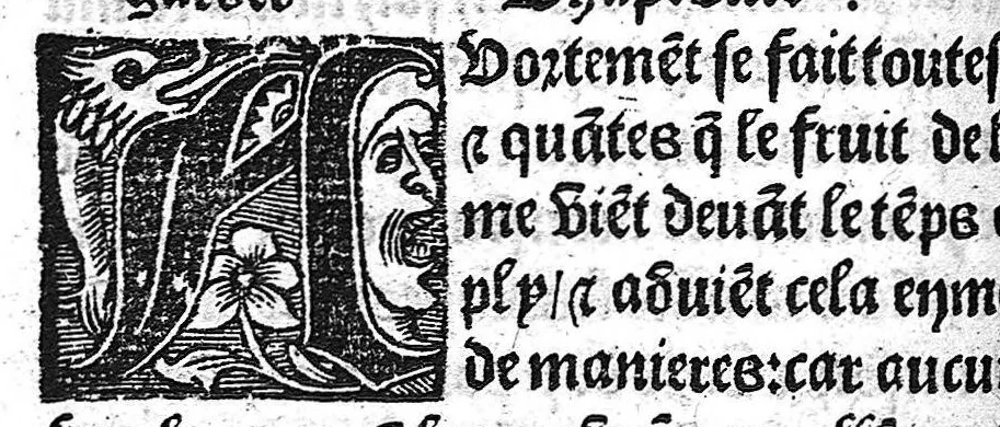 An illustration from Des divers travaulx et enfantemens des femmes, et par quel moyen lon doit survenir aux accidens qui peuvent escheoir devant et apres iceulx travaulx. Item quel lait et quelle nourrisse on doit eslire aux enfans : ensemble aucuns remedes concernens plusieurs maladies survenantes ausdits enfans nouveaux nez. Livret fort utile et duysant pour survenir a beaucoup de necessitez. Compose premierement en latin, par excellent medicin de Francfort, maistre Euchaire Rodion, et depuis tourne en langue françoyse, a lutilite de plusieurs personnes, 1536, leaf 85