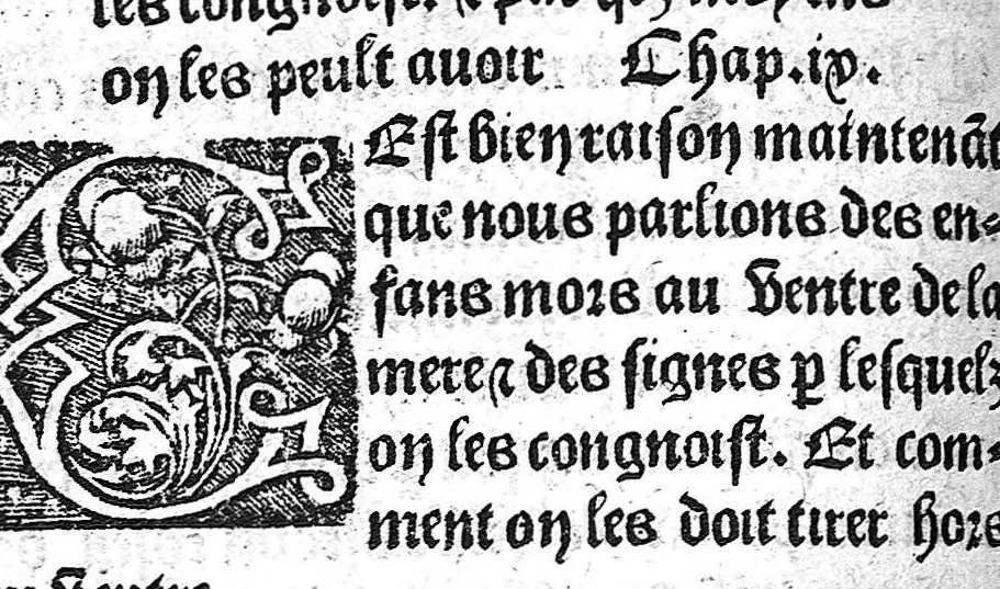 An illustration from Des divers travaulx et enfantemens des femmes, et par quel moyen lon doit survenir aux accidens qui peuvent escheoir devant et apres iceulx travaulx. Item quel lait et quelle nourrisse on doit eslire aux enfans : ensemble aucuns remedes concernens plusieurs maladies survenantes ausdits enfans nouveaux nez. Livret fort utile et duysant pour survenir a beaucoup de necessitez. Compose premierement en latin, par excellent medicin de Francfort, maistre Euchaire Rodion, et depuis tourne en langue françoyse, a lutilite de plusieurs personnes, 1536, leaf 99