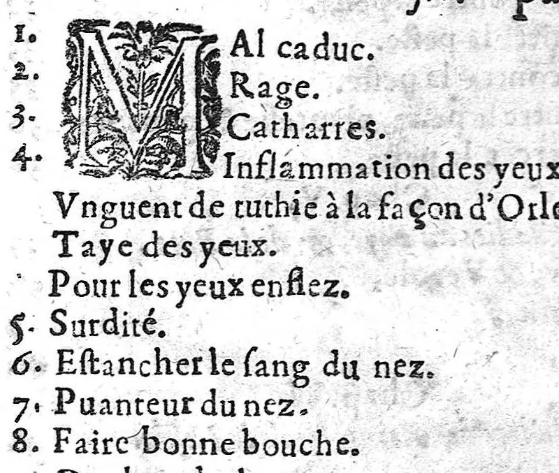 An illustration from Recueil des secrets... auquel sont contenues ses plus rares experiences pour diverses maladies, principalement des femmes, avec leurs embellissemens, 1653, leaf 152