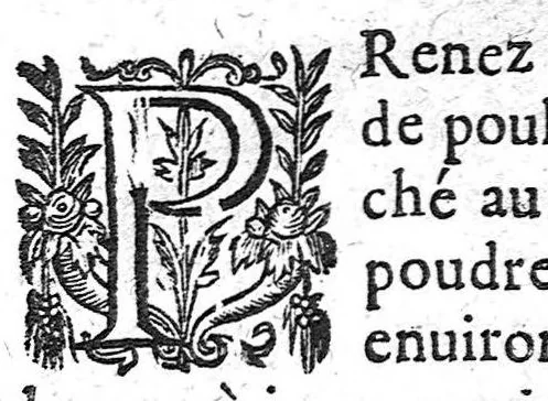 An illustration from Recueil des secrets... auquel sont contenues ses plus rares experiences pour diverses maladies, principalement des femmes, avec leurs embellissemens, 1653, leaf 26