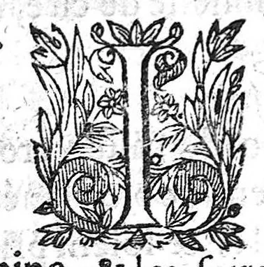 An illustration from Recueil des secrets... auquel sont contenues ses plus rares experiences pour diverses maladies, principalement des femmes, avec leurs embellissemens, 1653, leaf 63