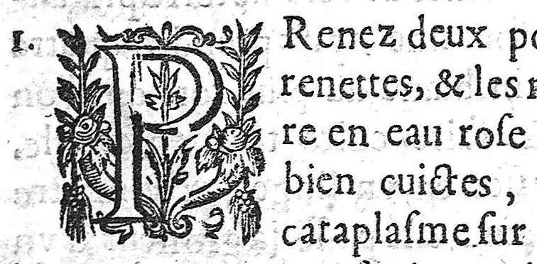 An illustration from Recueil des secrets... auquel sont contenues ses plus rares experiences pour diverses maladies, principalement des femmes, avec leurs embellissemens, 1653, leaf 73