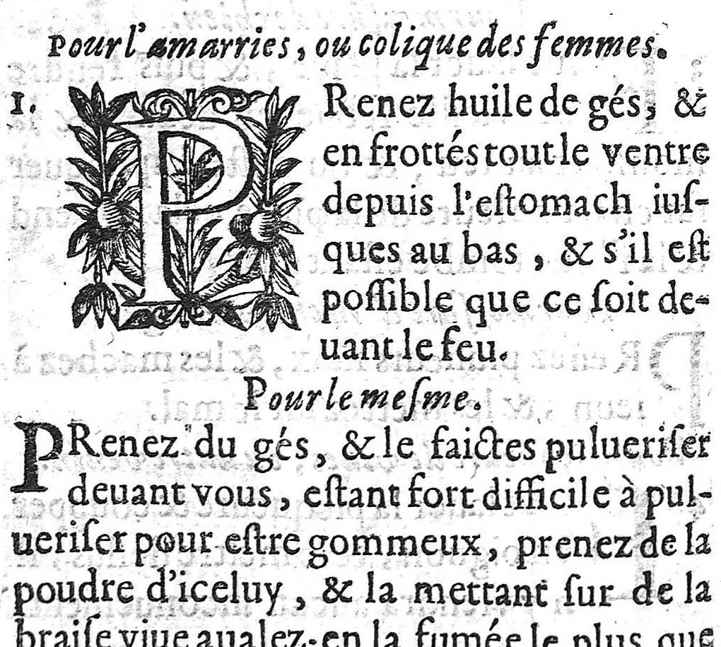 An illustration from Recueil des secrets... auquel sont contenues ses plus rares experiences pour diverses maladies, principalement des femmes, avec leurs embellissemens, 1653, leaf 85