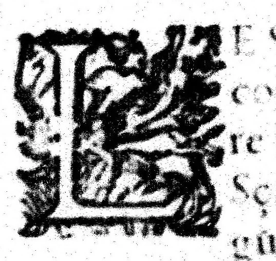An illustration from Des hermaphrodits, accouchemens des femmes, 1612, leaf 17
