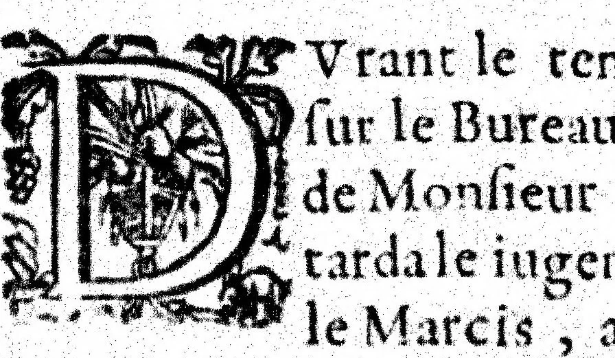 An illustration from Des hermaphrodits, accouchemens des femmes, 1612, leaf 447