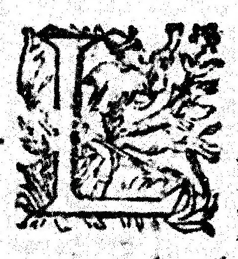 An illustration from Des hermaphrodits, accouchemens des femmes, 1612, leaf 452