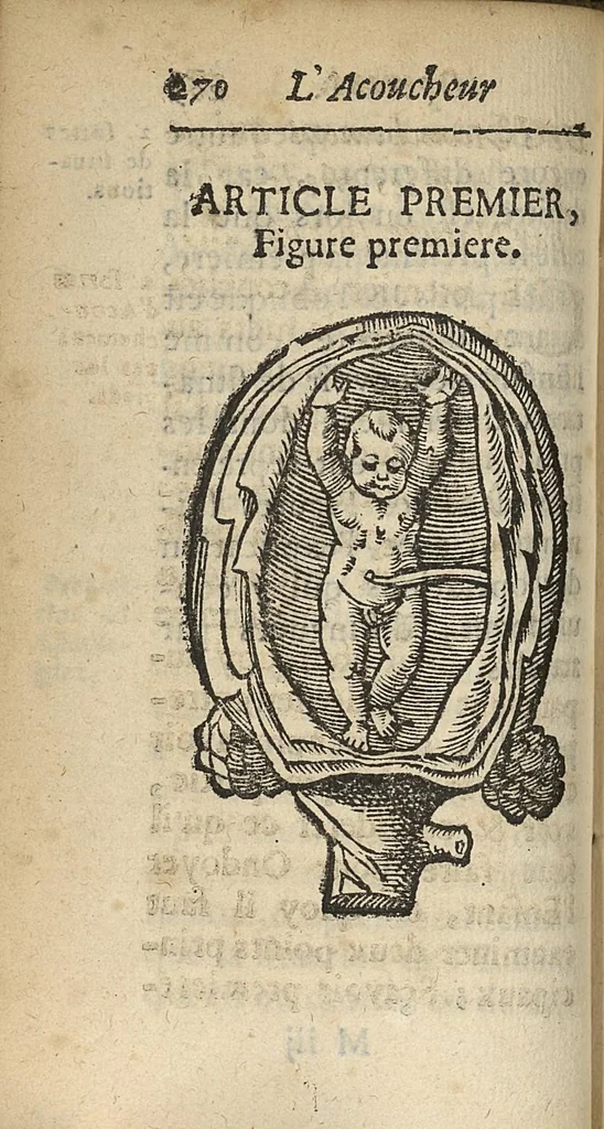 An illustration from L'accoucheur methodique, qui enseigne la maniere d'operer dans tous les accouchements naturels et artificiels..., 1676, leaf 301