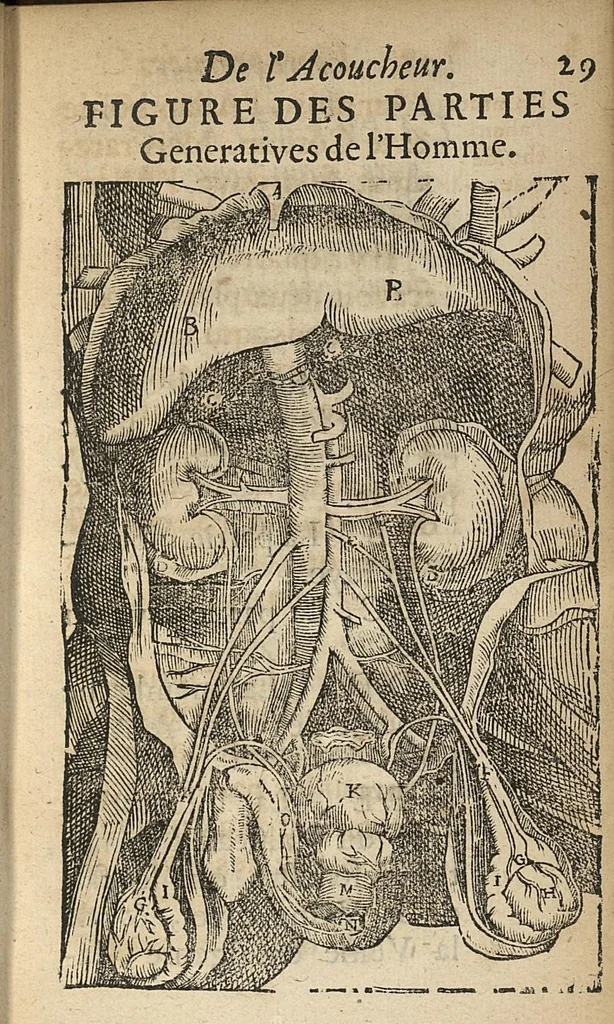 An illustration from L'accoucheur methodique, qui enseigne la maniere d'operer dans tous les accouchements naturels et artificiels..., 1676, leaf 58