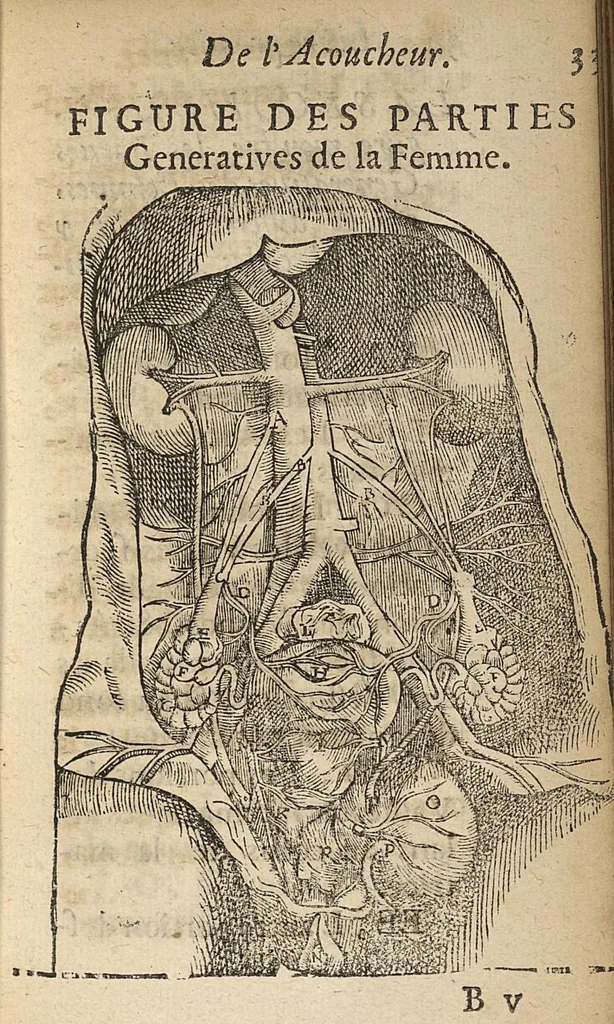 An illustration from L'accoucheur methodique, qui enseigne la maniere d'operer dans tous les accouchements naturels et artificiels..., 1676, leaf 62