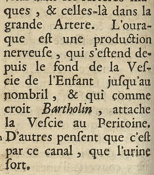 An illustration from L'accoucheur methodique, qui enseigne la maniere d'operer dans tous les accouchements naturels et artificiels..., 1676, leaf 79