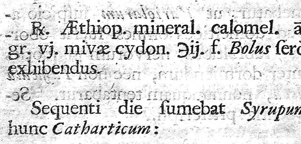 An illustration from De morbis acutis infantium, 1689, leaf 134