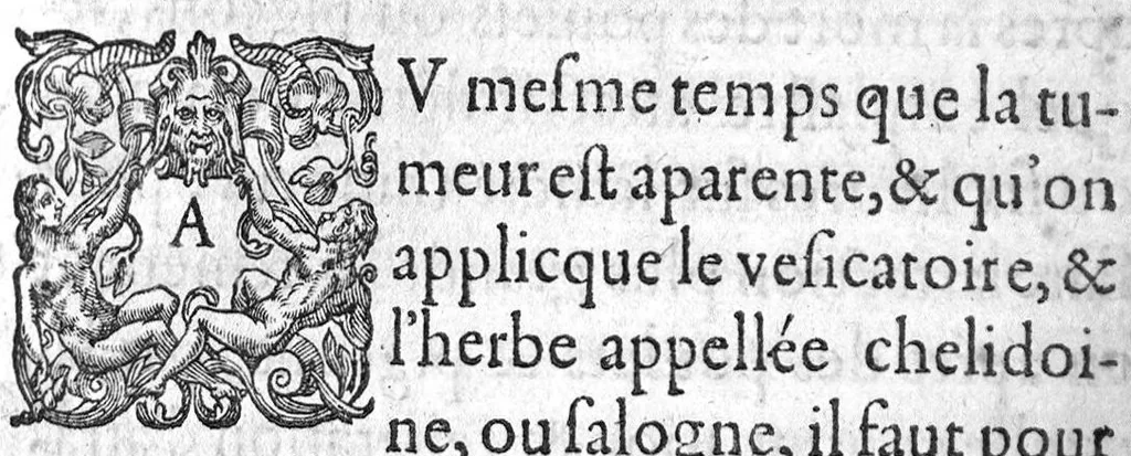 An illustration from Methode excellente et fort familiere pour guarir la peste, et se preserver d'icelle..., 1608, leaf 40