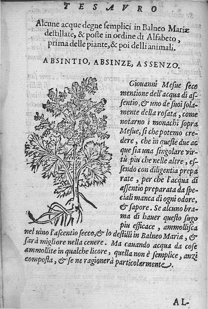 An illustration from Tesauro di Evonomo Filatro de rimedii secreti. Lib. fisico e medicinale, ..., 1588, leaf 35