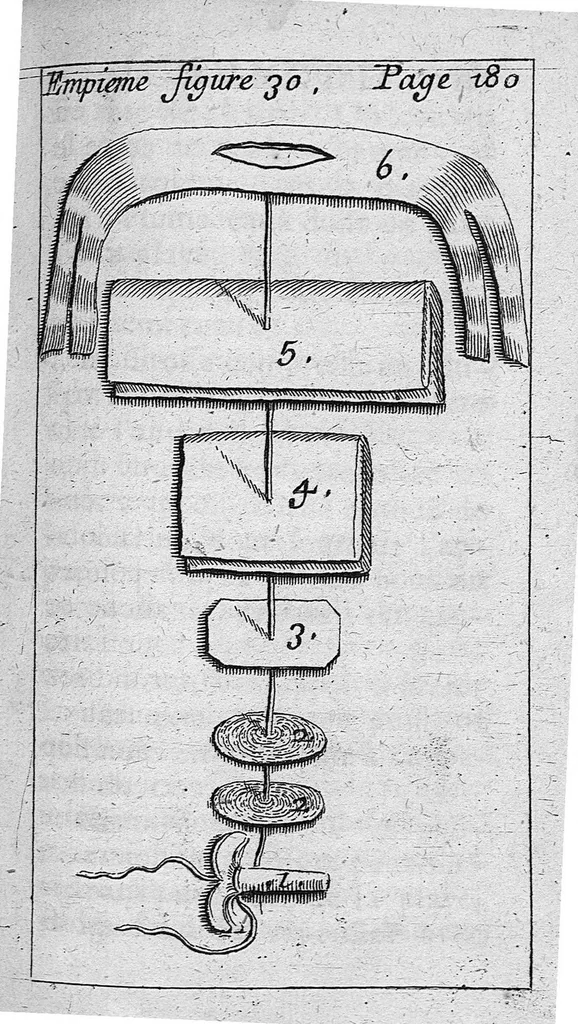 An illustration from L' appareil commode en faveur des jeunes chirurgiens, 1700, leaf 204